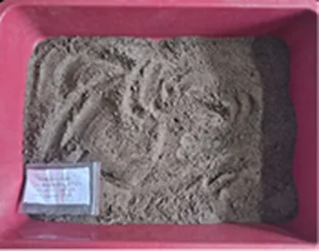 Sample photograph