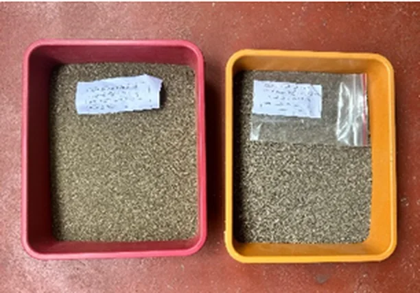 Drying of samples
